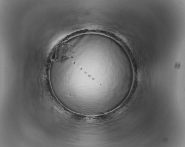 X0000113561263200910021546