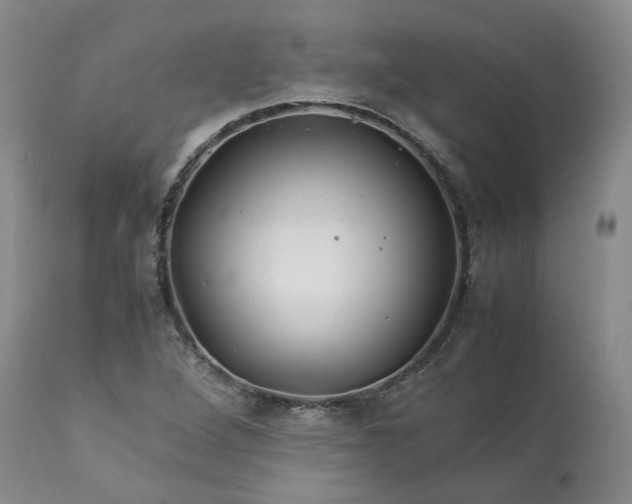 X0000113561264200910021546