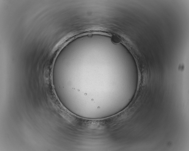 X0000113561266200910021546