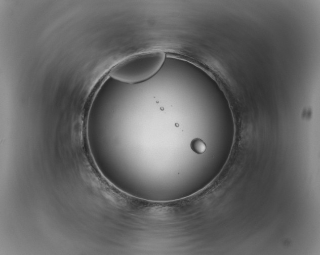 X0000113561268200910021546