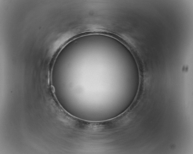 X0000113561269200910021546