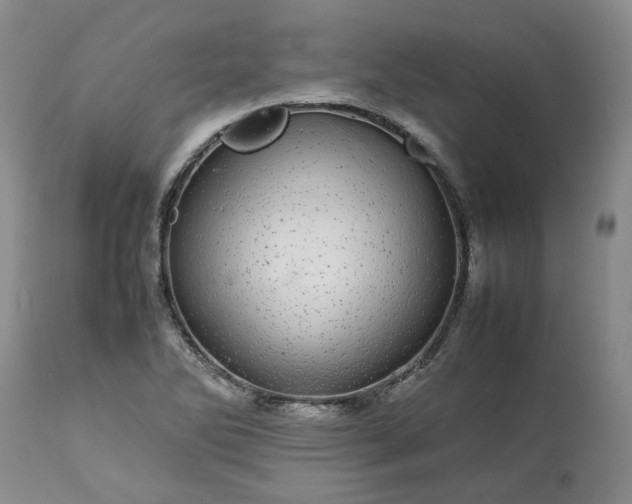 X0000113561270200910021546