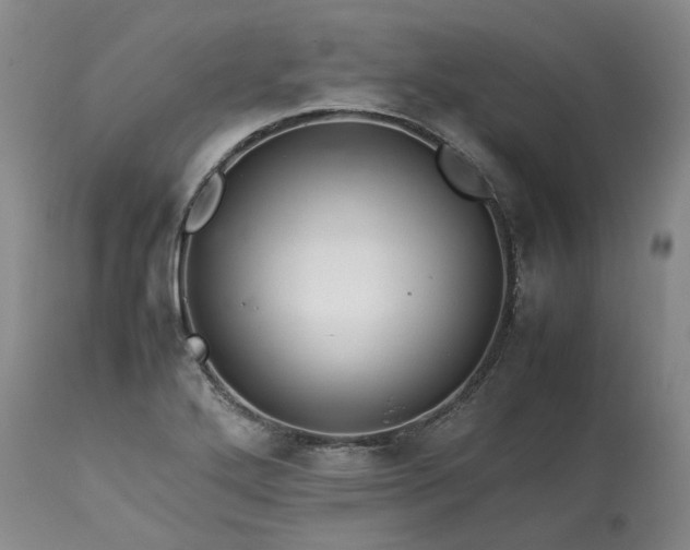X0000113561272200910021546