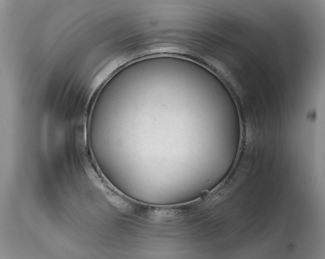X0000113561274200910021546