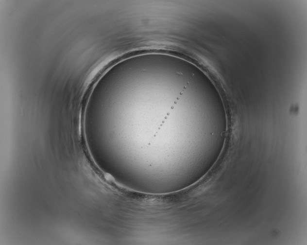 X0000113561275200910021546