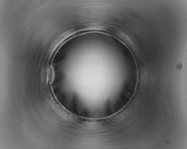 X0000113561276200910021546