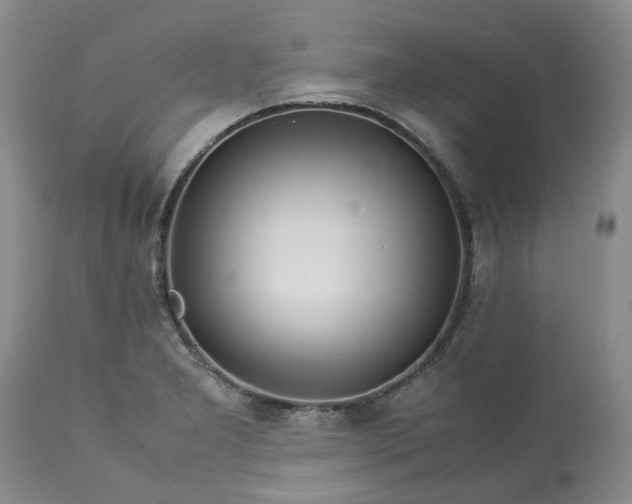 X0000113561277200910021546