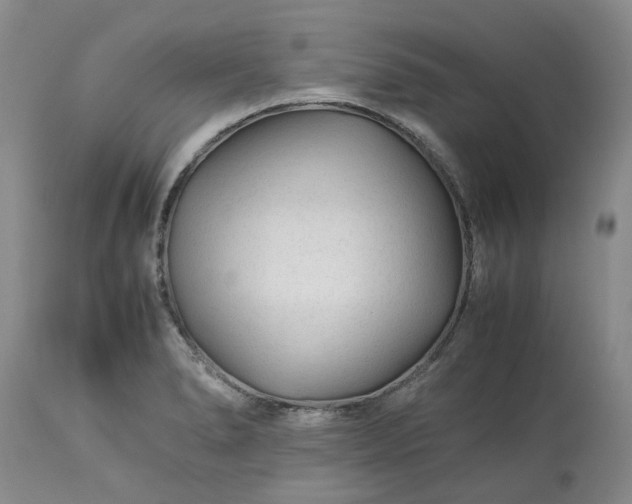 X0000113561278200910021546