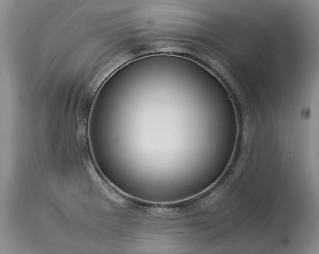 X0000113561281200910021546