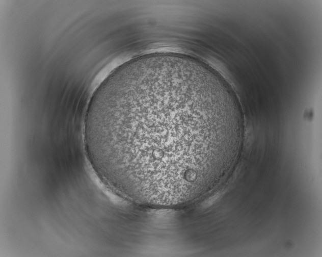 X0000113561282200910021546