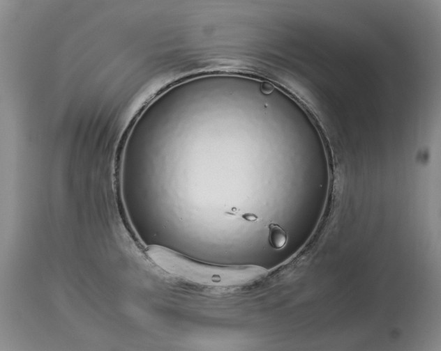 X0000113561283200910021546