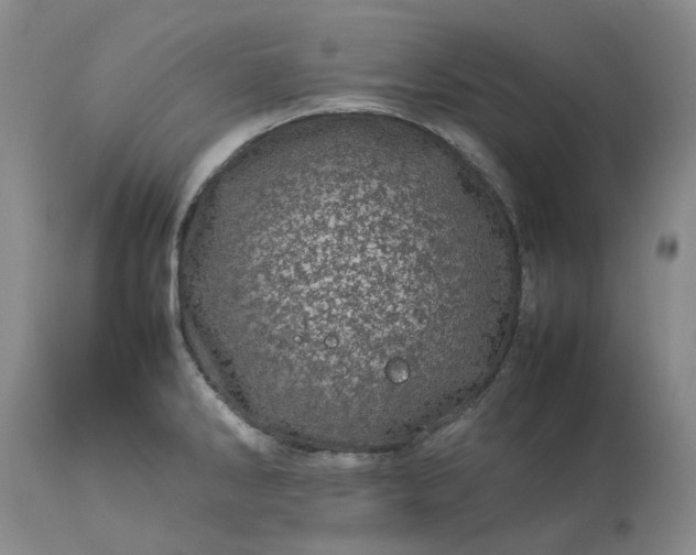 X0000113561286200910021546
