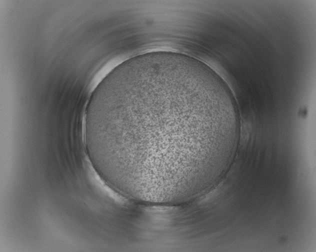 X0000113561290200910021546