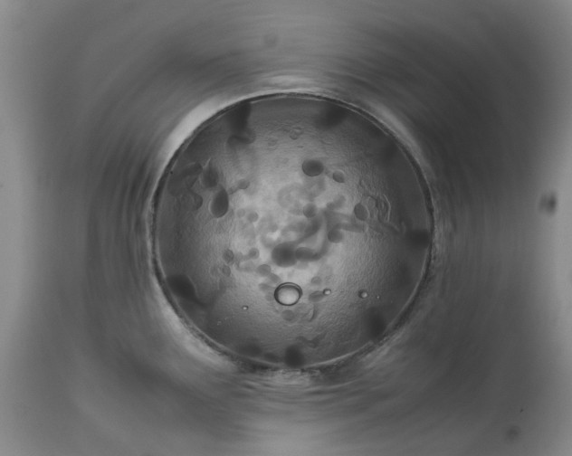 X0000113561291200910021546