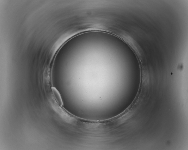X0000113561292200910021546