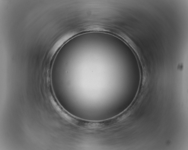 X0000113561293200910021546