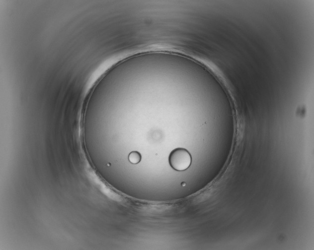 X0000113561294200910021546