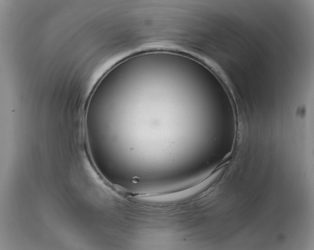 X0000113561295200910021545