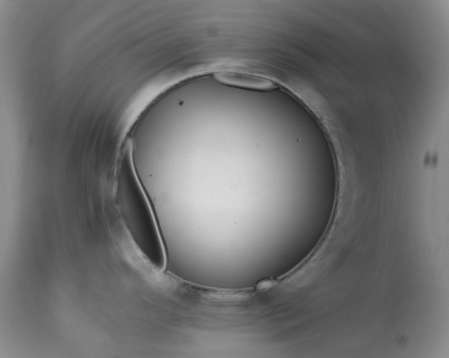 X0000113561296200910021545