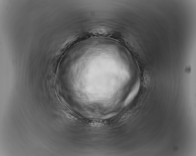 X0000113561297200910021545