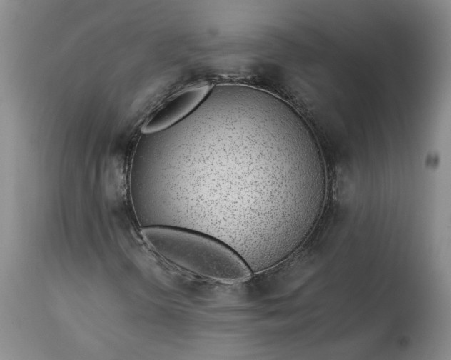 X0000113561298200910021545