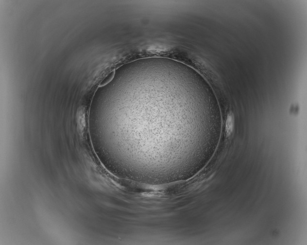 X0000113561299200910021545