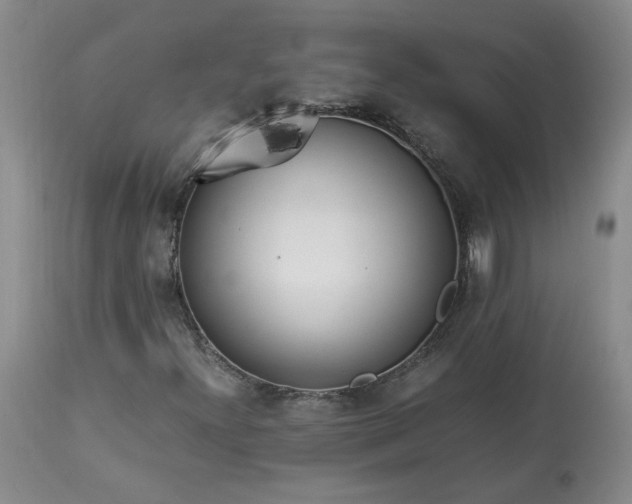 X0000113561300200910021545