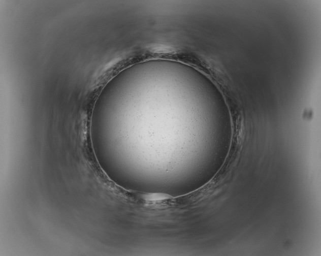 X0000113561301200910021545