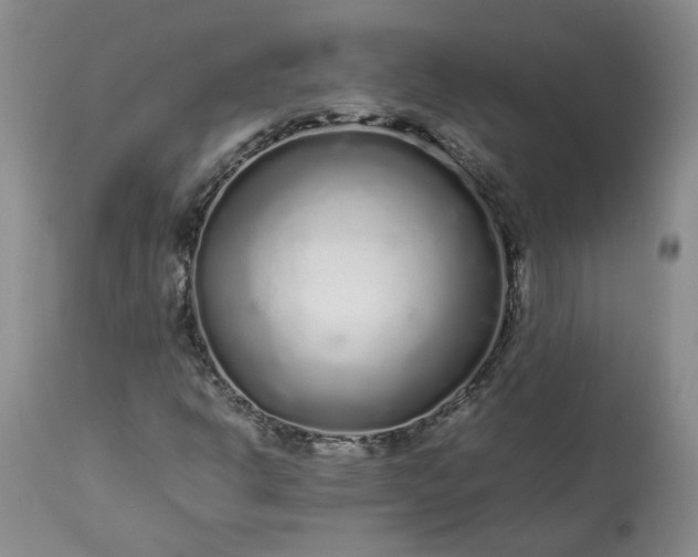 X0000113561302200910021545