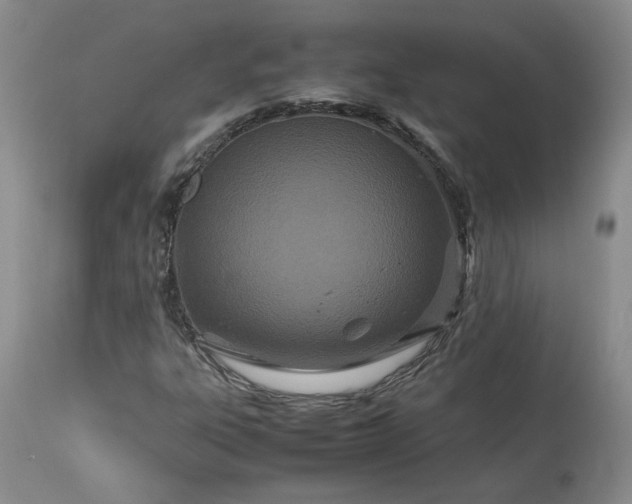 X0000113561303200910021545