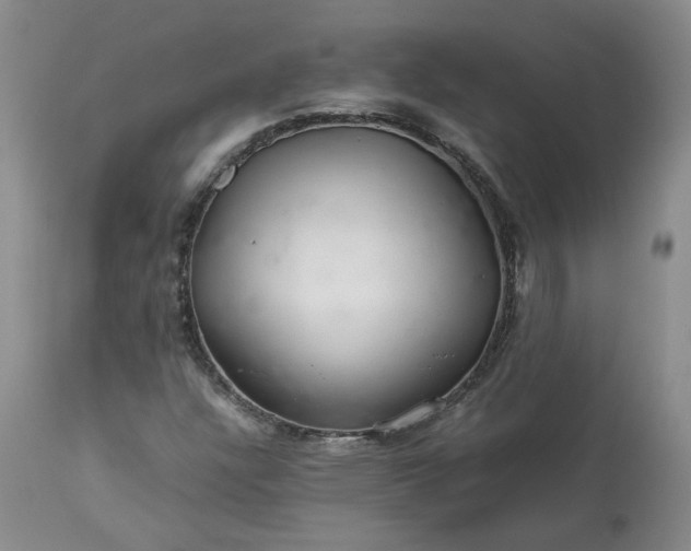 X0000113561304200910021545