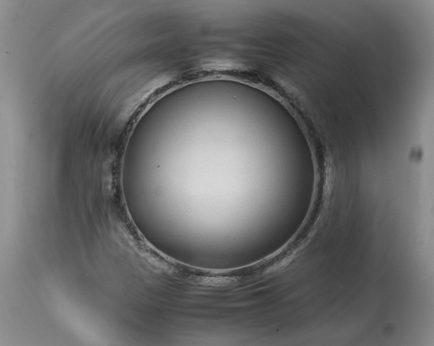 X0000113561305200910021545