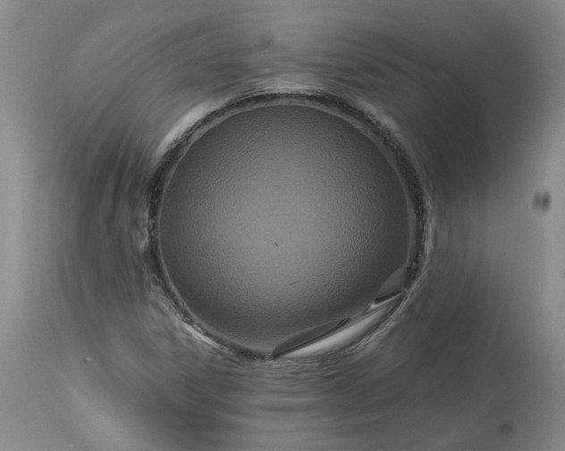 X0000113561306200910021545