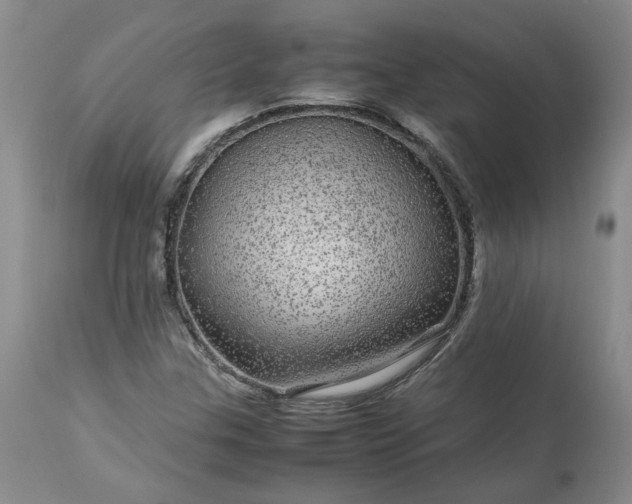 X0000113561307200910021545