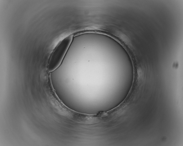 X0000113561308200910021545