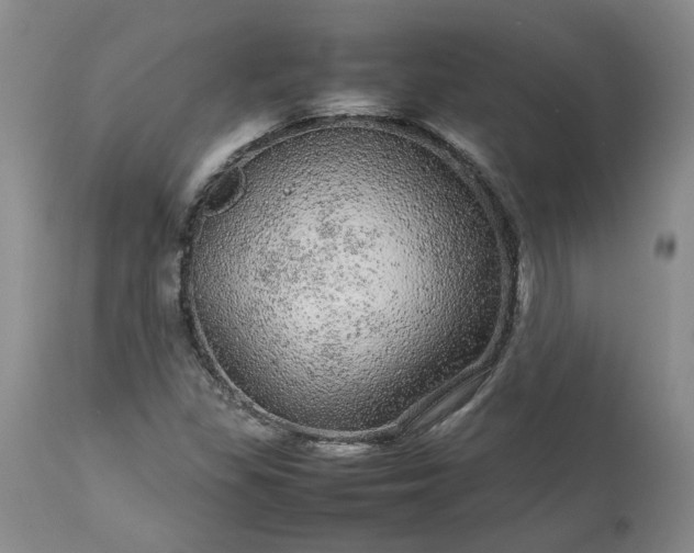 X0000113561309200910021545