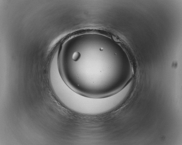 X0000113561310200910021545