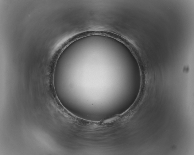 X0000113561311200910021545