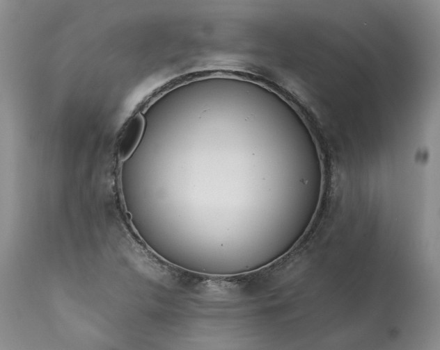 X0000113561312200910021545