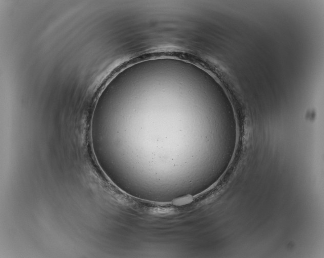X0000113561313200910021545