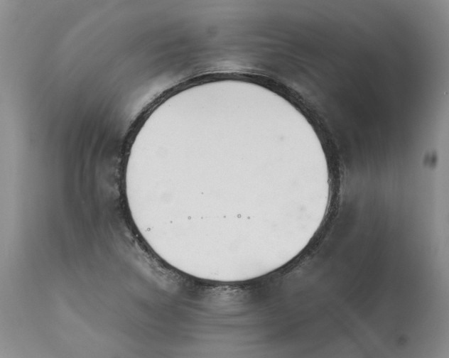 X0000113561314200910021545