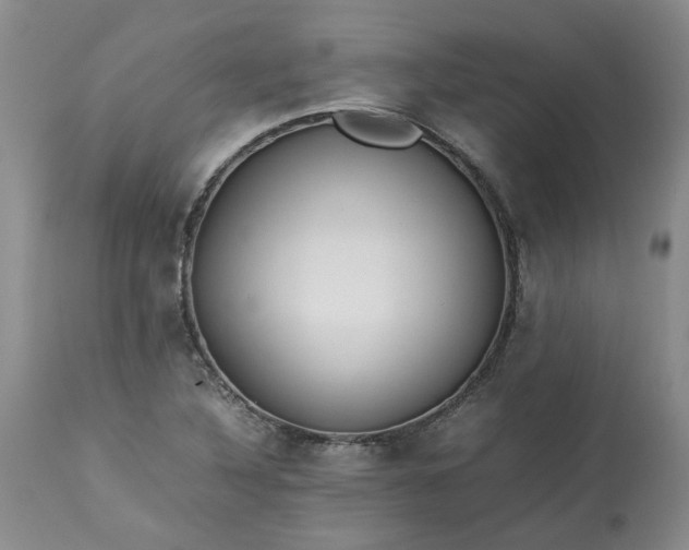 X0000113561316200910021545