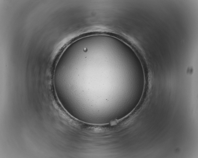 X0000113561318200910021545