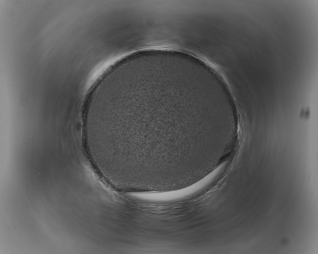 X0000113561319200910021545