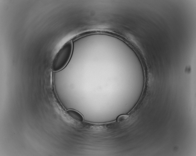X0000113561320200910021545