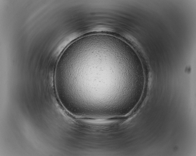 X0000113561321200910021545