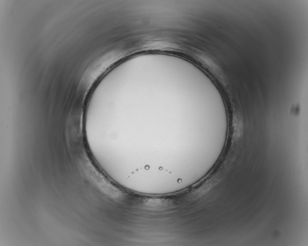 X0000113561322200910021545