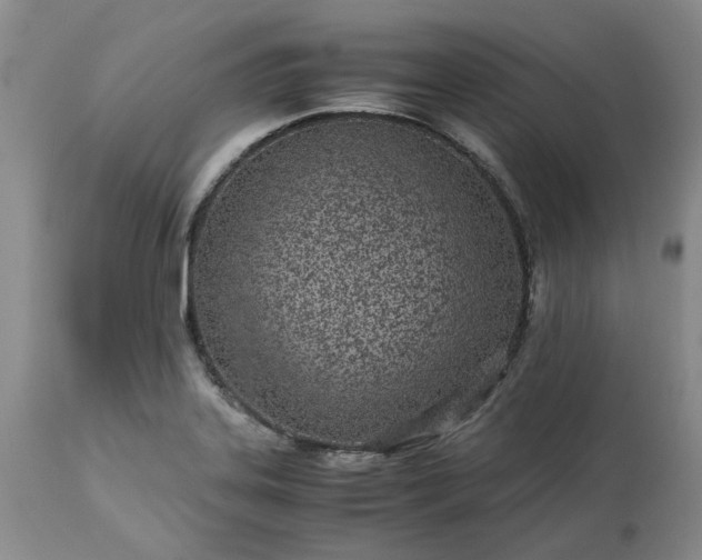 X0000113561323200910021545