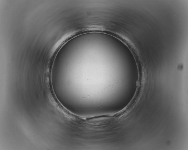 X0000113561325200910021545