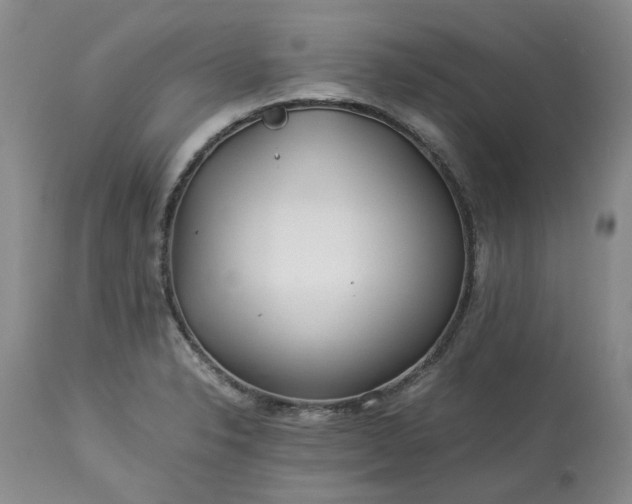 X0000113561326200910021545